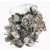 Silnik Iveco Daily 2.3 HPI HPT F1AE0481H Euro4 9r